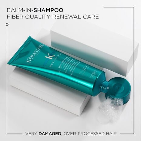 kerastase resistance bain therapiste shampoo product details