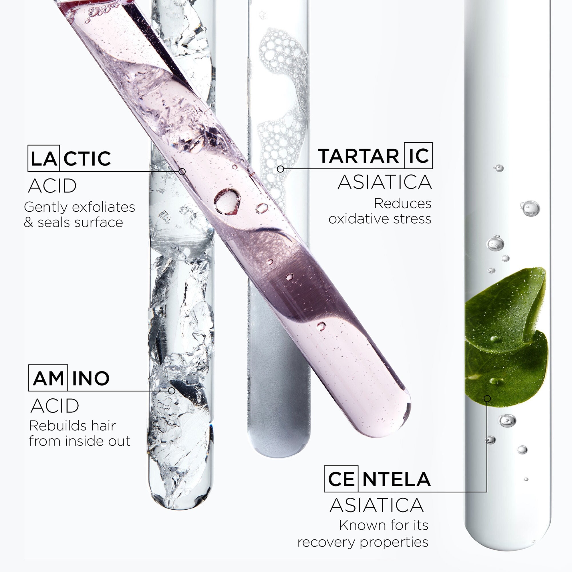 Chroma Absolu Bain Riche Chroma Respect Shampoo