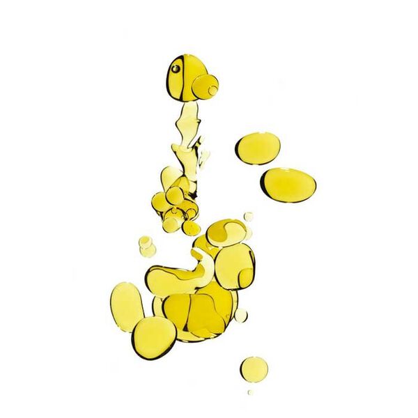 Aura Botanica Essence D'eclat Hair Oil Mist  Kérastase