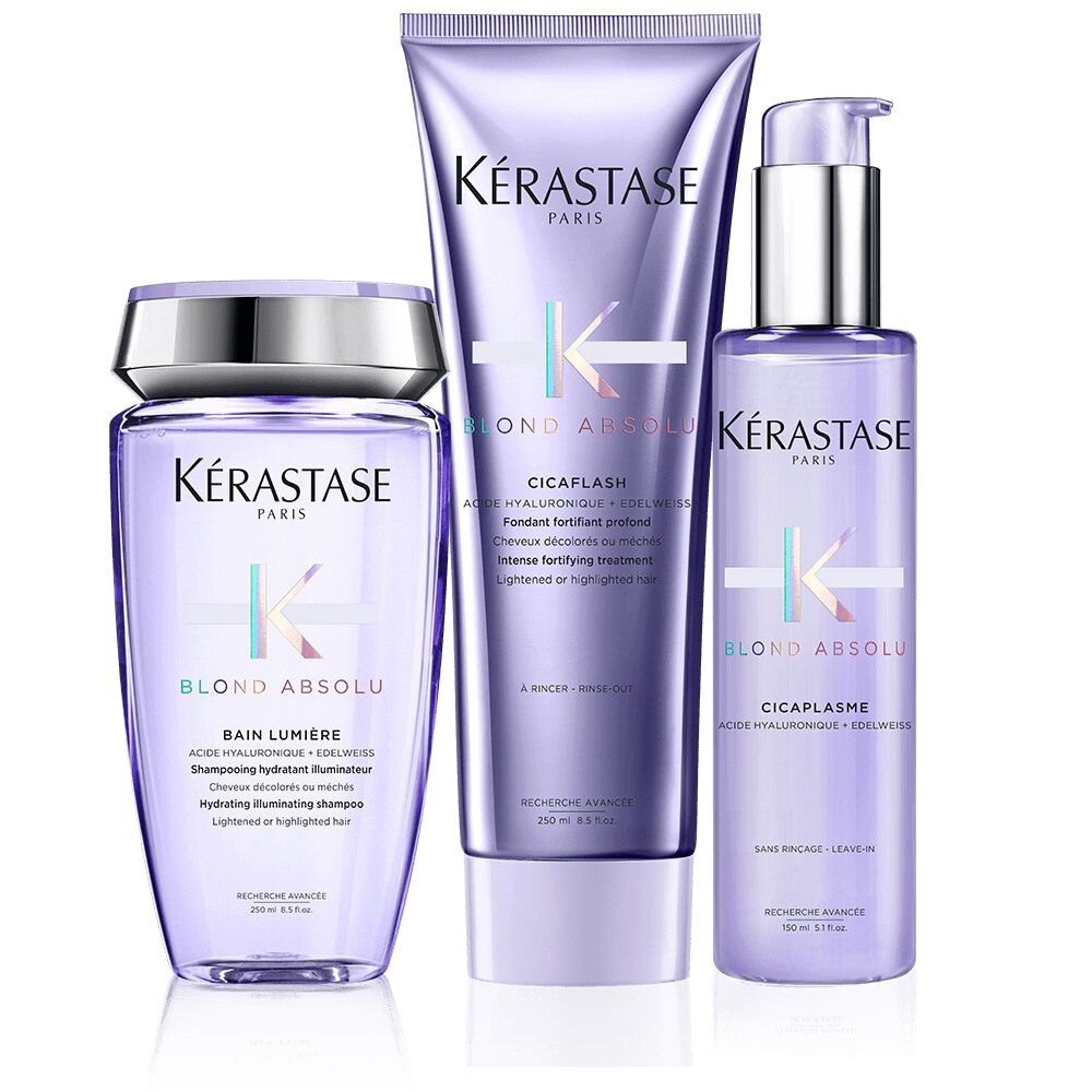 Blond Absolu Grey Hair Set