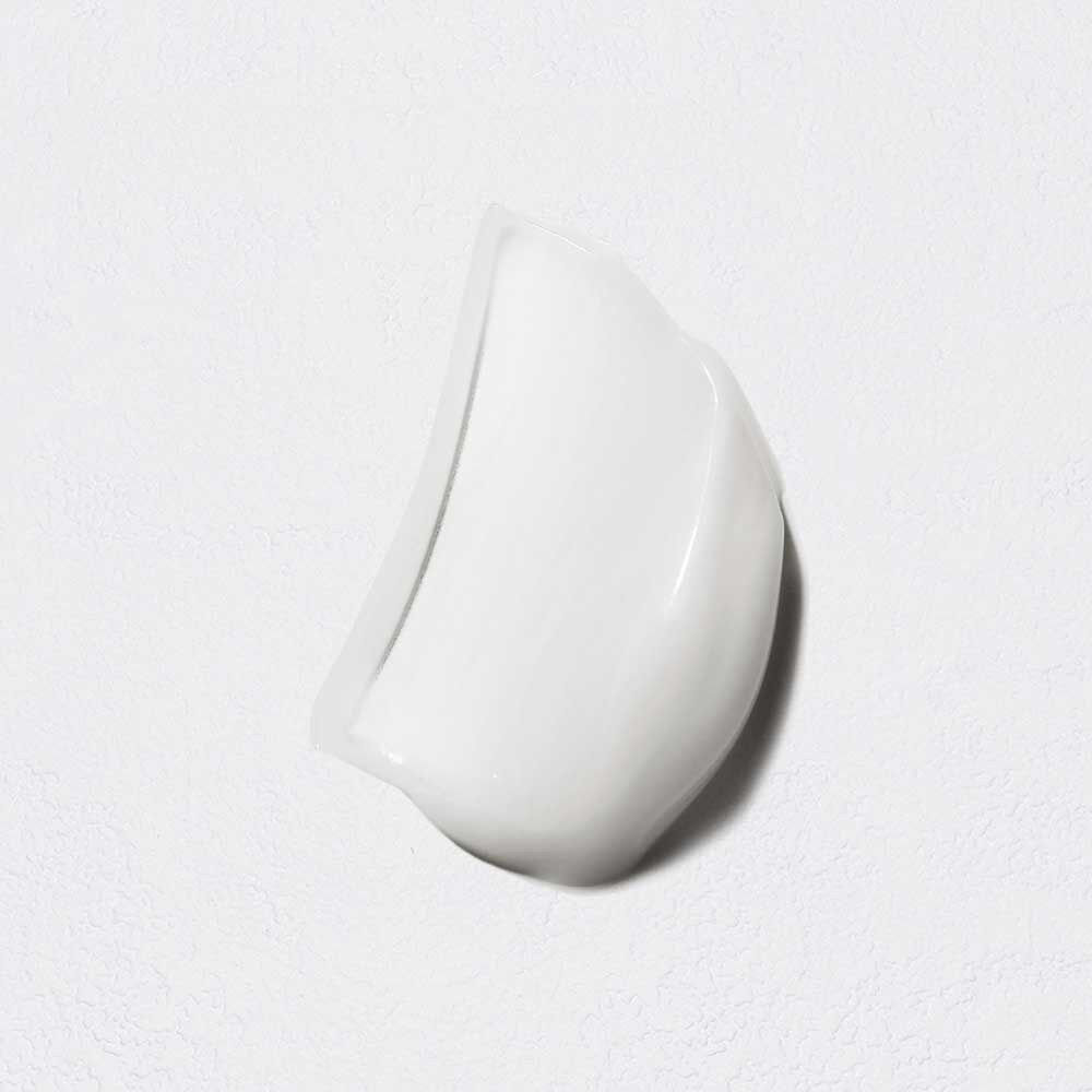 Fondant Chromatique Conditioner