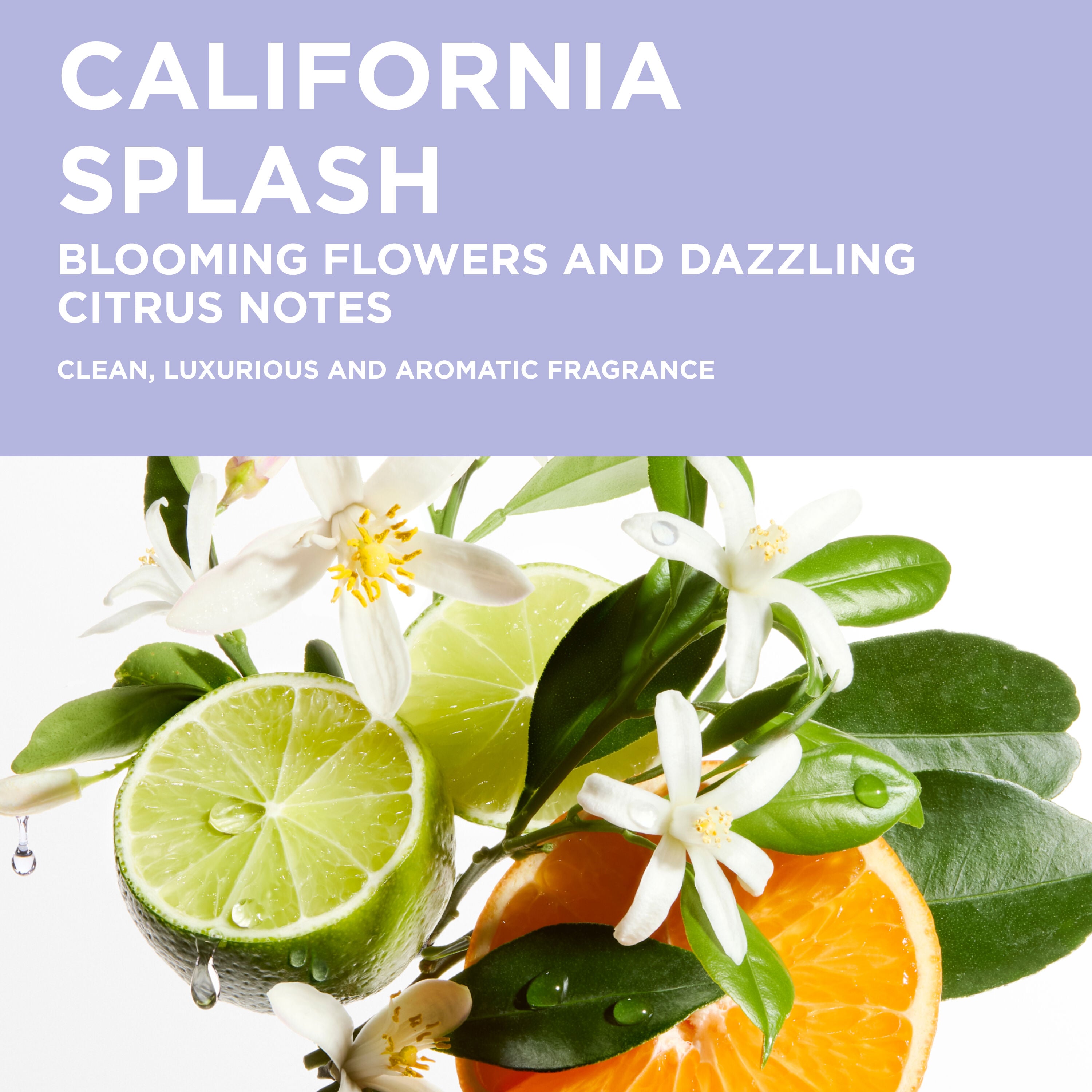 Blond Absolu Bain Ultra-Violet Purple Shampoo