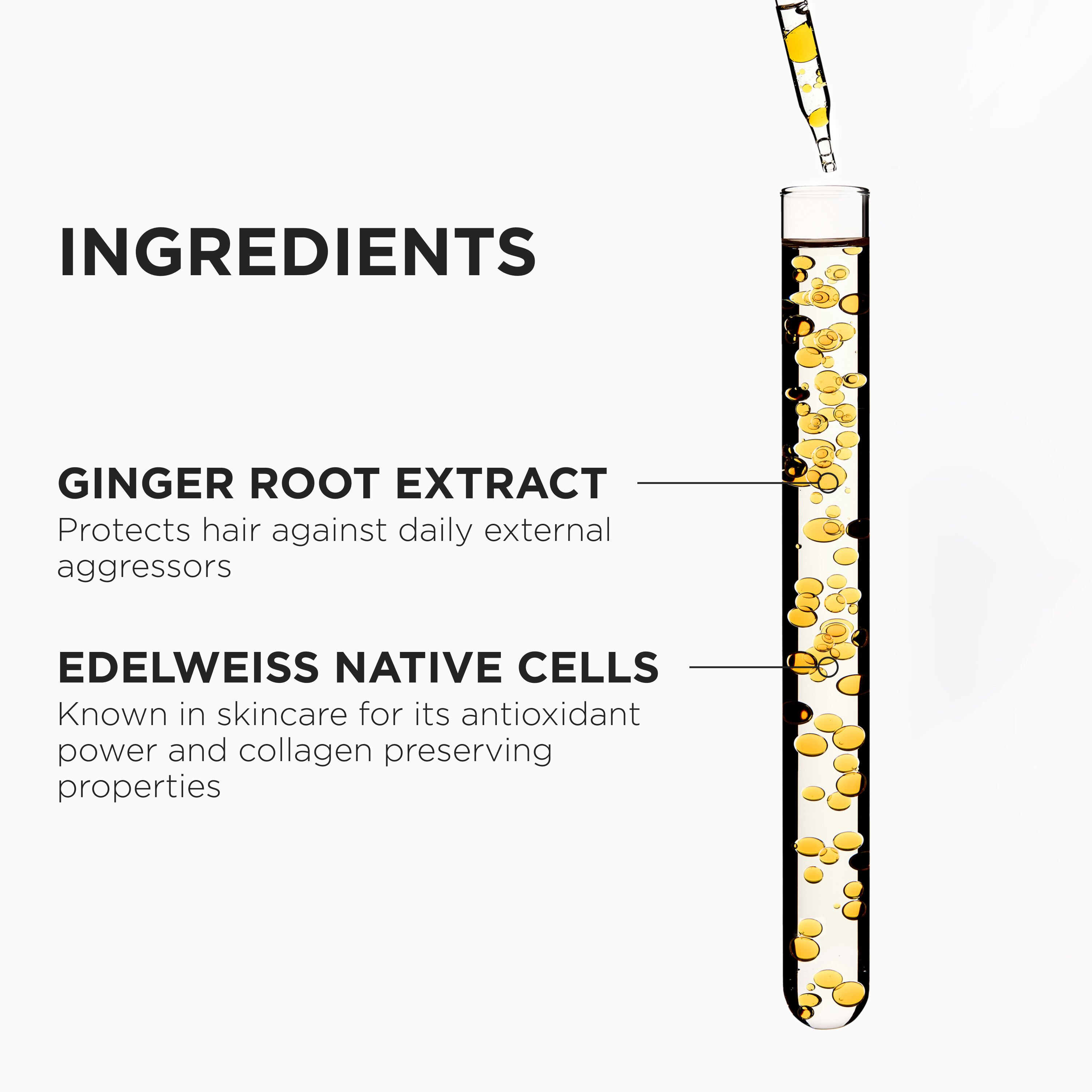 Genesis Bain Hydra-Fortifiant Value Size Shampoo & Refill Pouch