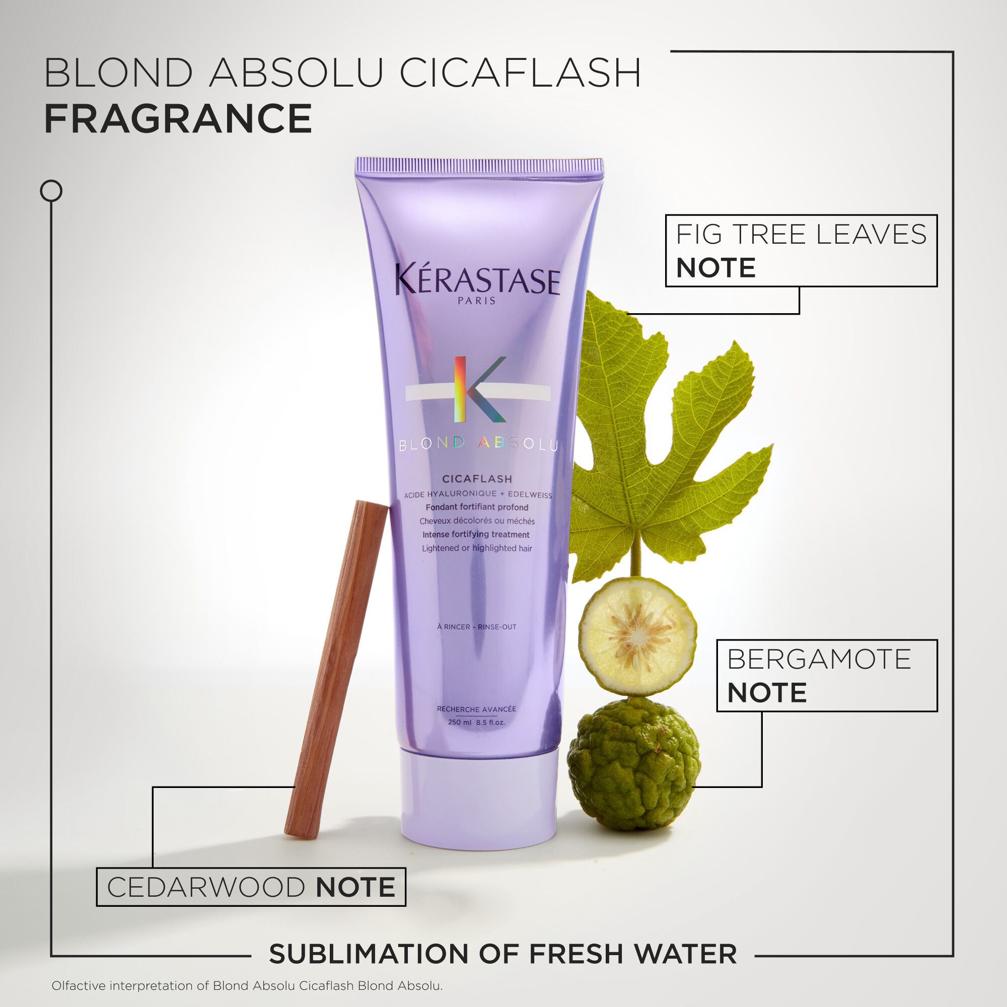 Blond Absolu Gift Set For Lightened & Highlighted Hair