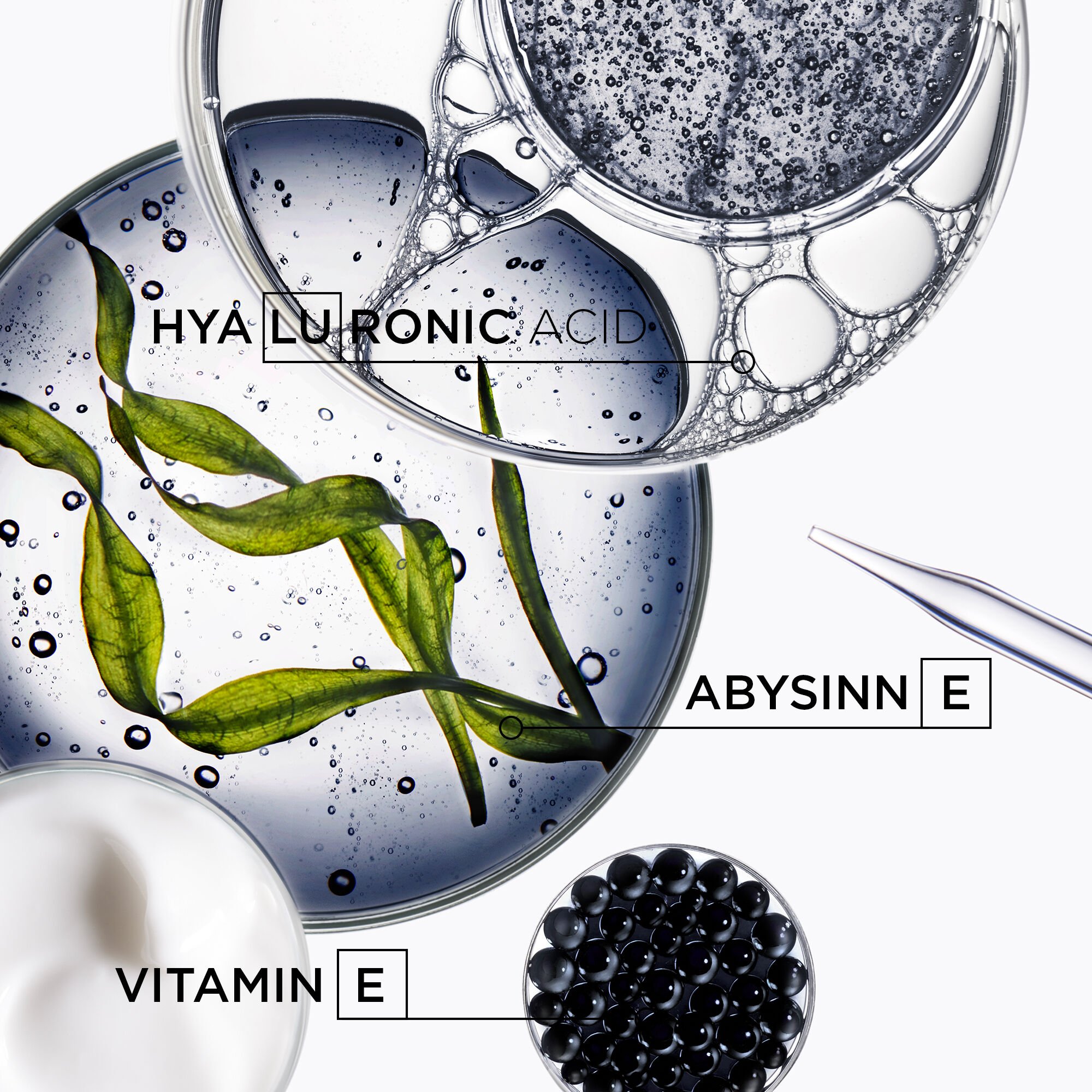 Bain Régénérant - Chronologiste - revitalising - This Is All