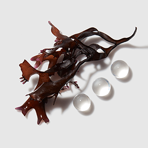 Kerastase Ingredients Abyssine Molecule For Hair