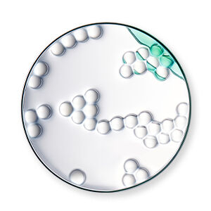 Kerastase Ingredients Amino Acid For Hair