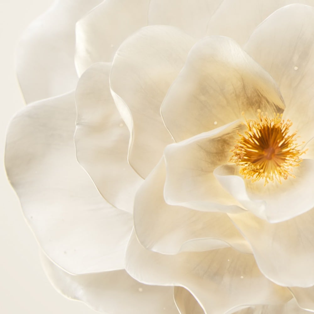 Kerastase Ingredients Abyssine Molecule For Hair