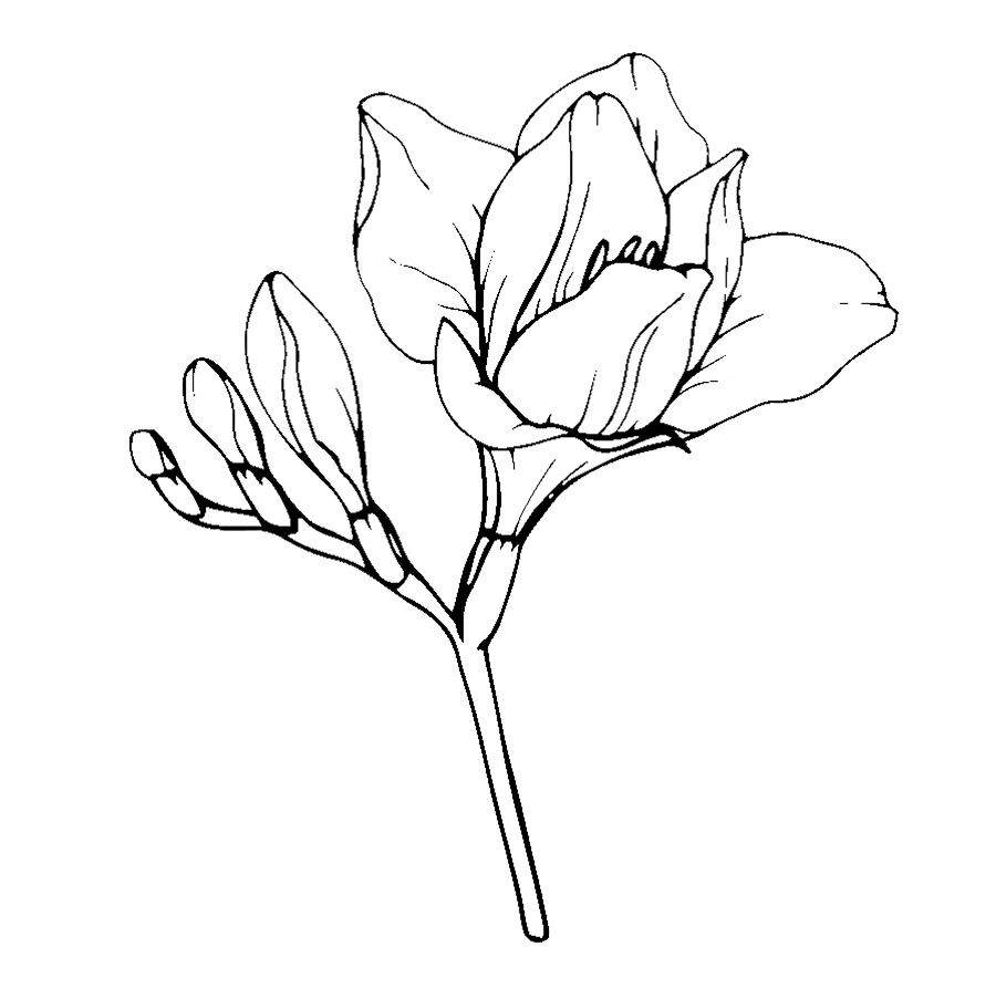 Kérastase Chronologiste anti aging haircare aging hair in need of hydration, volume, strength and shine