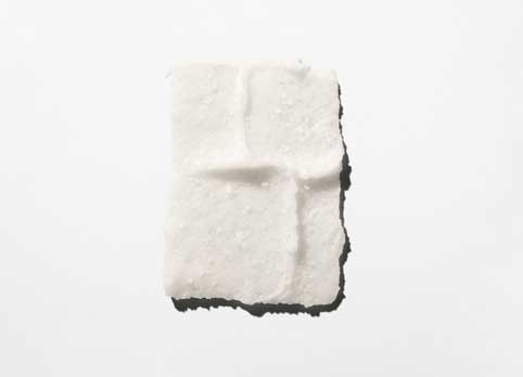Lipids