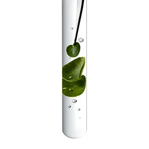 Kerastase Ingredients Centella Asiatica​
