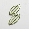 Mexican Aloe Vera Extract