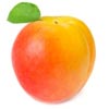 Apricot Oil