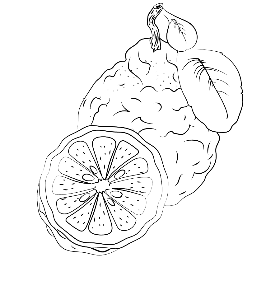 Kérastase Chronologiste anti aging haircare aging hair in need of hydration, volume, strength and shine