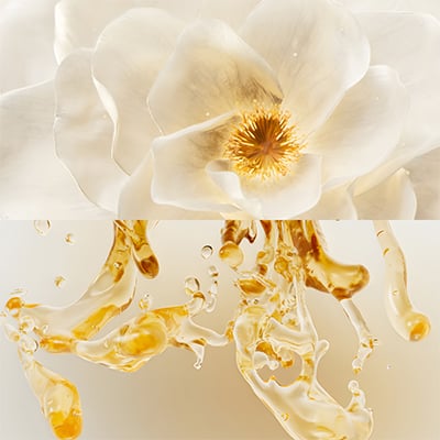 Camellia Oil