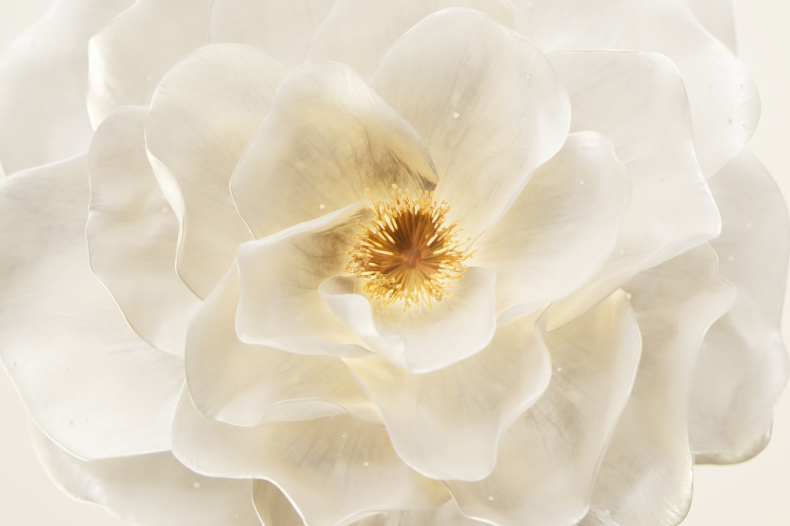 fragrance-banner-mob.jpg