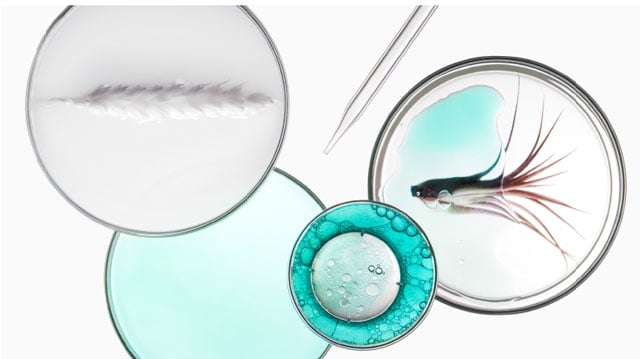 The Causes of Damaged Hair & How to Fix It