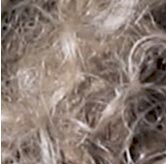 Blond Absolu Blonde Hair Care  Kérastase