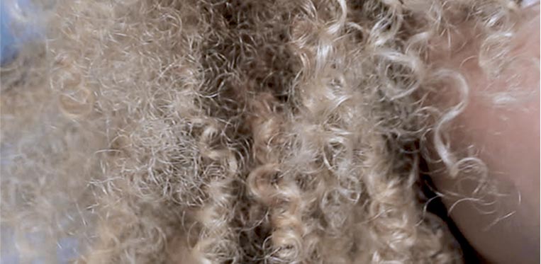 Blond Absolu Blonde Hair Care  Kérastase